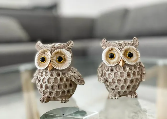 New Bazaar 2022 Appartement